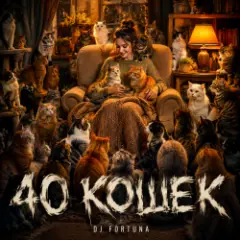Обложка трека 40 КОШЕК