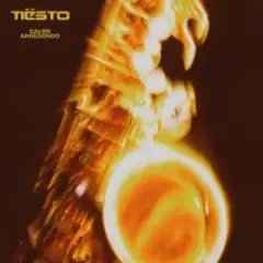 Обложка трека Echo Sax Finale