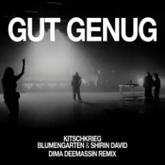 Обложка трека Gut Genug (Dima Deemassin Remix)