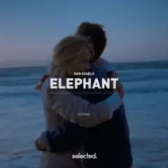 Обложка трека Elephant