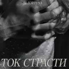 Обложка трека ТОК СТРАСТИ