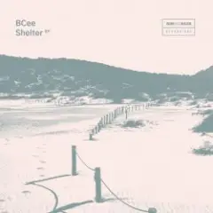 Обложка трека Shelter (Mixed)
