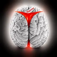 Обложка трека Brains 5 [2019]