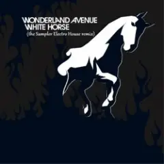 Обложка трека White Horse (the Sampler Electro House remix)