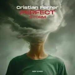 Обложка трека Perfect Storm
