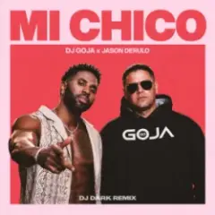 Dj Goja & Jason Derulo — Mi Chico (Dj Dark Remix)