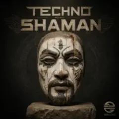 Обложка трека Techno Shaman