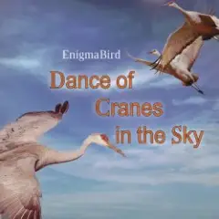 EnigmaBird — Dance of Cranes in the Sky