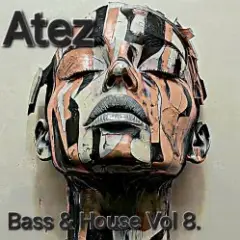 Обложка трека Bass House Vol 8.