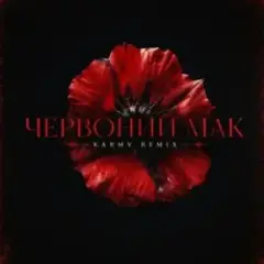 Обложка трека Червоний мак (Karmv remix)
