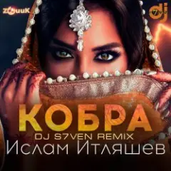 Обложка трека Кобра (DJ S7ven Radio Edit)