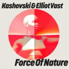 Обложка трека Force Of Nature (Extended Mix)