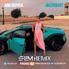 MIA BOYKA — Экспонат (Slim Remix)