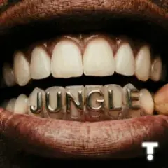 Обложка трека Jungle