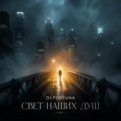 Обложка трека СВЕТ НАШИХ ДУШ