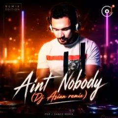 Обложка трека Aint Nobody (Dj Asian remix)