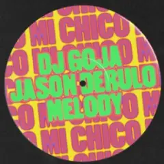 Dj Goja & Jason Derulo & Melody — Mi Chico