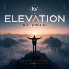 Обложка трека ELEVATION
