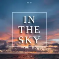 Обложка трека In The Sky