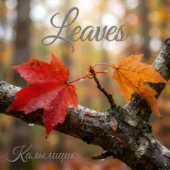 Калымщик — Leaves