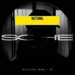 Sche — N Y 0.2