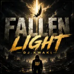 Обложка трека Fallen Light-DJ.Kwaki
