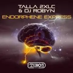 Обложка трека Endorphene Express (Extended Mix)