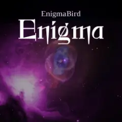 EnigmaBird — Enigma