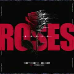Timmy Trumpet & bradeazy & Richard Judge — Roses