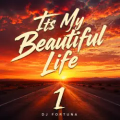 Обложка трека Its My Beautiful Life 1