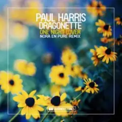 Обложка трека One Night Lover (Nora En Pure Instrumental Club Mix)