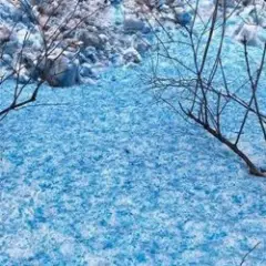 Обложка трека А пока лип синий снег