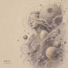 Обложка трека VEIL