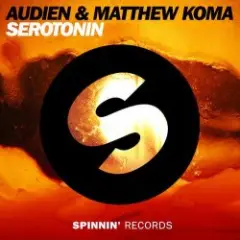 Обложка трека Serotonin (Original Mix)