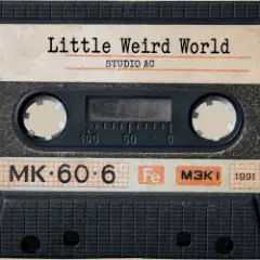 Обложка трека Little Weird World
