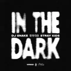 In The Dark
