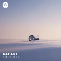 Обложка трека Safari (Mixed)