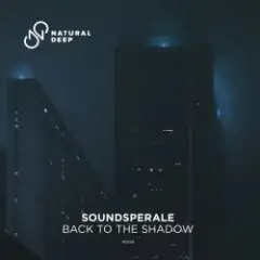 Обложка трека Back To The Shadow (Original Mix)