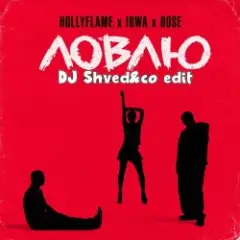 Обложка трека Ловлю (DJ Shved&co blend)