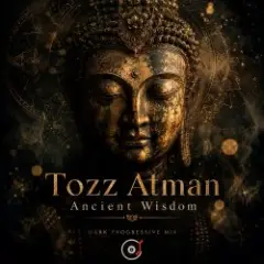 Обложка трека Ancient Wisdom