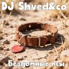DJ Shved&co — Бездомные псы