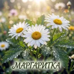 Обложка трека О, Маргаритка