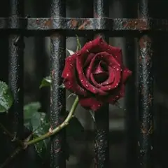 Обложка трека Prison of Love