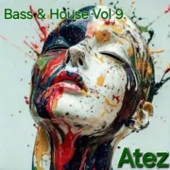 Обложка трека Bass & House Vol 9.