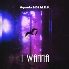 Agunda, DJ M.E.G. — I Wanna