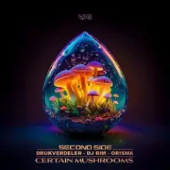 Orisma & DJ Bim feat. Kata — Requiem To A Dream (Original Mix)