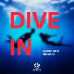 Обложка трека Dive In