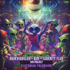 Drukverdeler & DJ Bim — The Triangle (Original Mix)