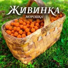 Обложка трека Морошка