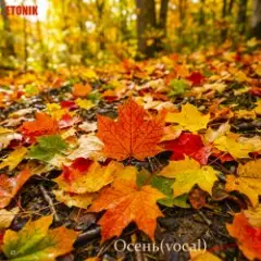 Обложка трека Осень(vocal version)